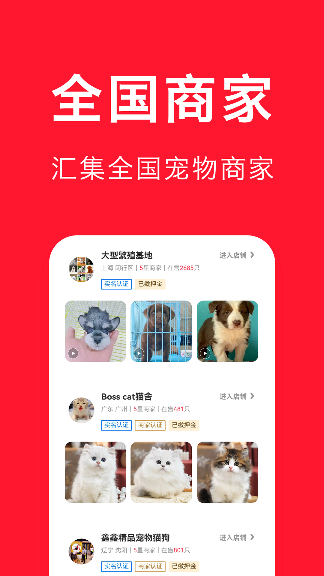 宠物宝最新版在线截图2