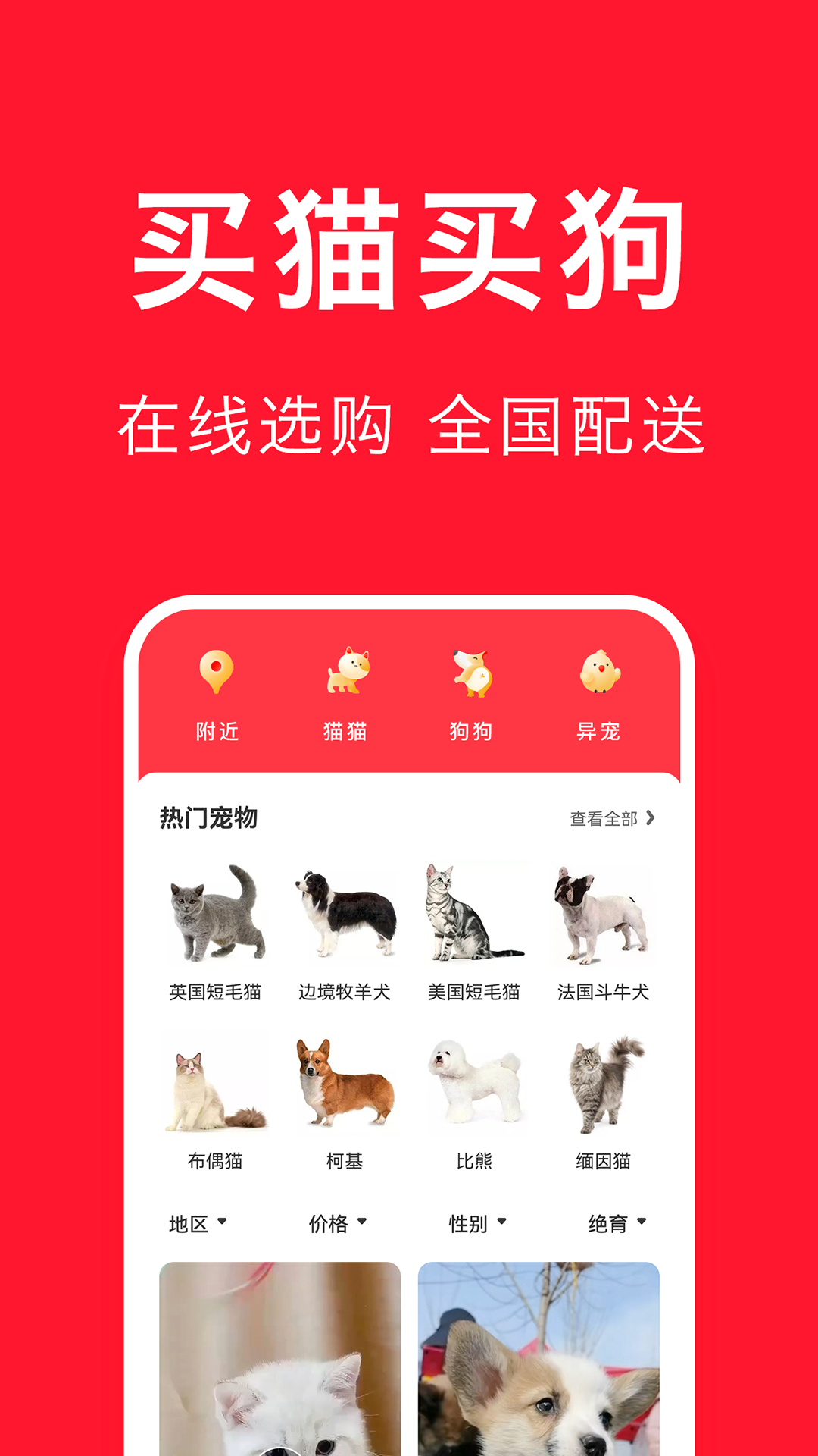 宠物宝最新版在线截图1