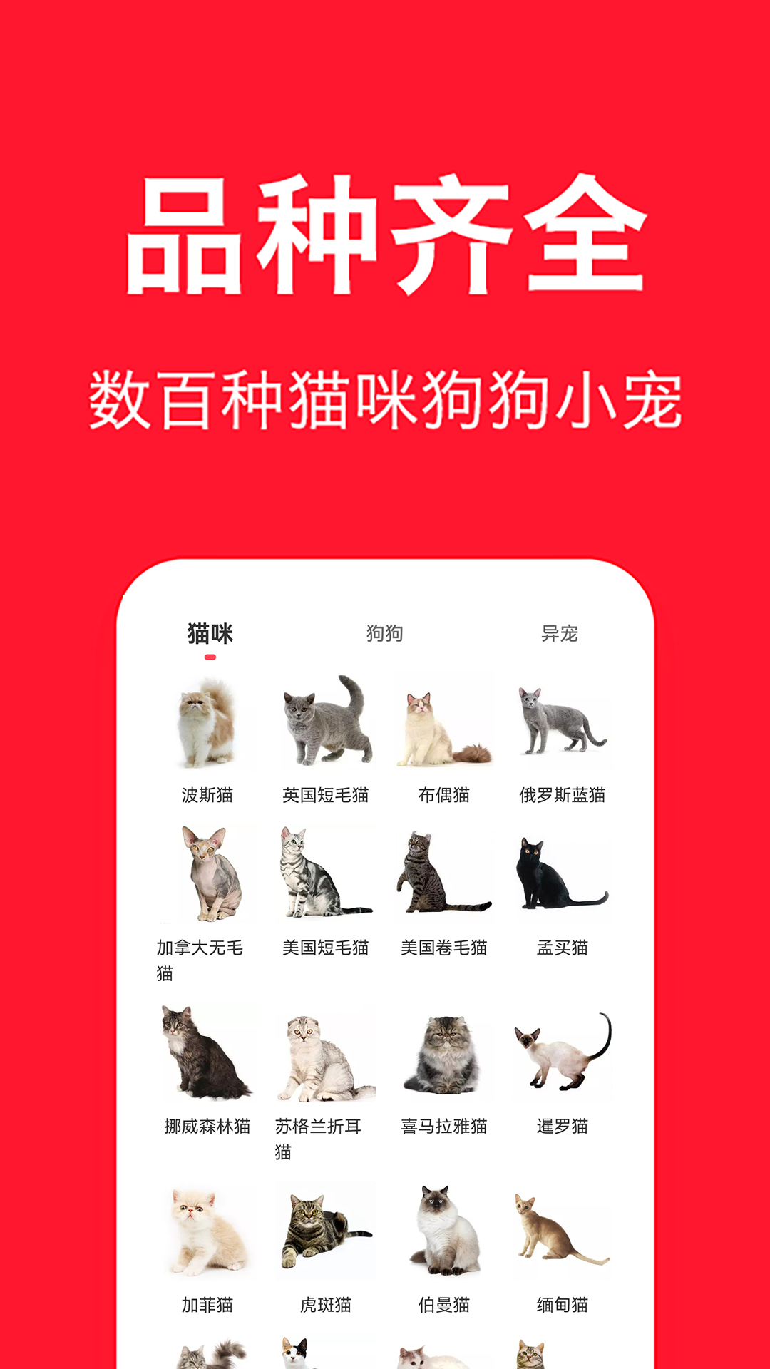 宠物宝最新版在线截图3