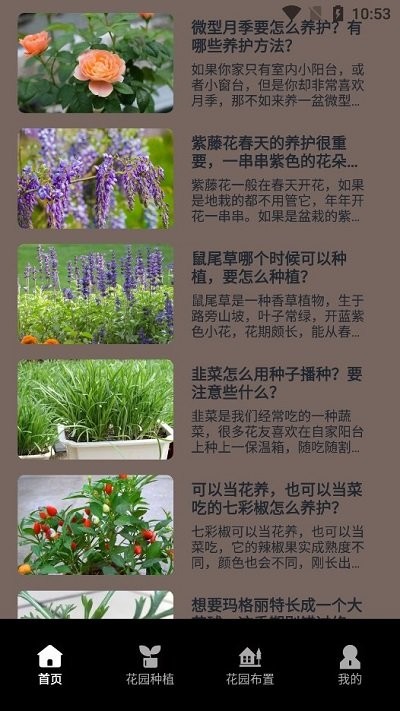 花草录植物识别安卓版截图2