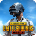 pubg国际服官网版