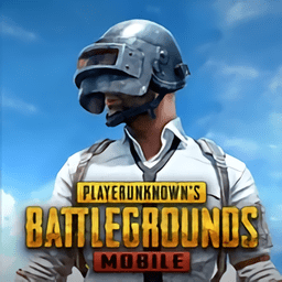 pubg国际服中文版汉化版