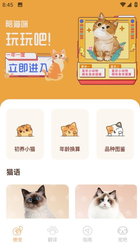 Peppycat猫语翻译器安卓版截图1