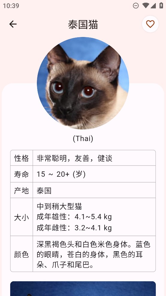 猫品种大全安卓最新版截图3