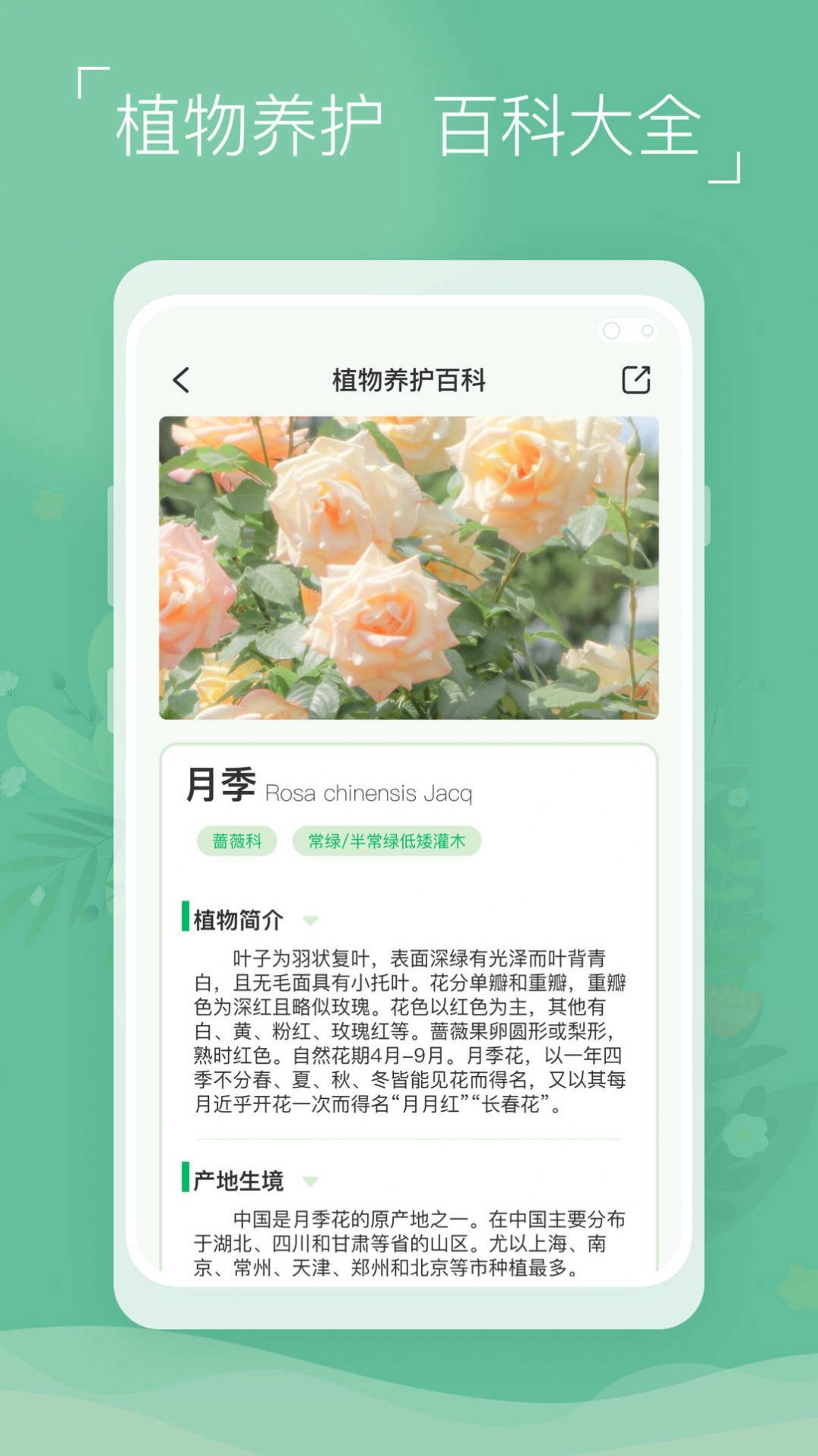 植物识别宝官方版截图1