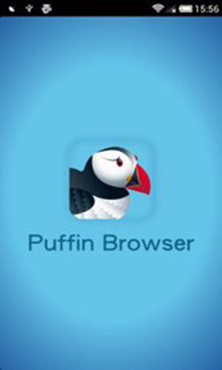 puffin浏览器手机版免费版截图4