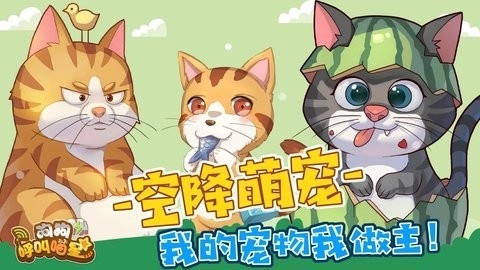 狗狗呼叫喵星安卓最新版截图2