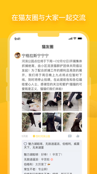 哈啰街猫安卓版免费版截图5