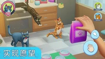 我的宠物猫模拟器最新版在线截图3