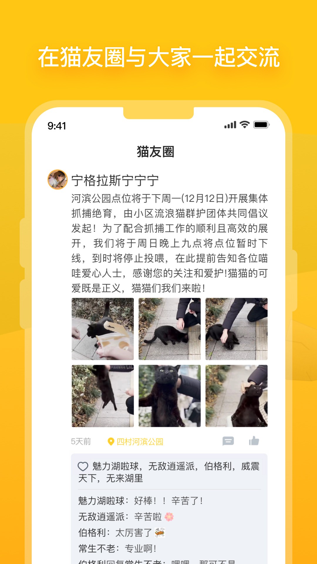 街猫最新版截图2