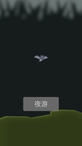 小蝙蝠夜游记最新版截图2