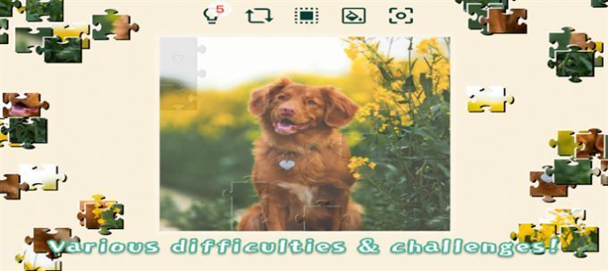 宠物狗狗的拼图挑战最新版截图2