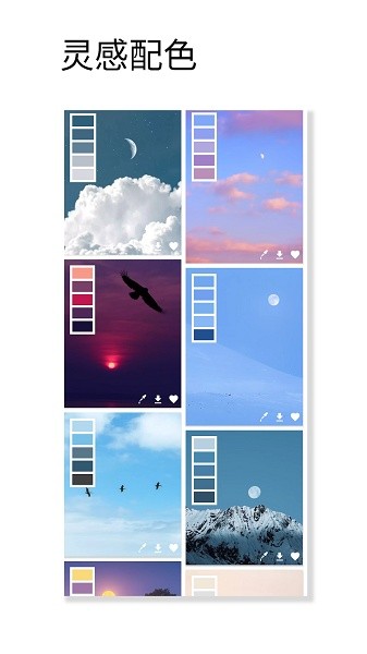 观色配色安卓版手机版2024最新版截图1
